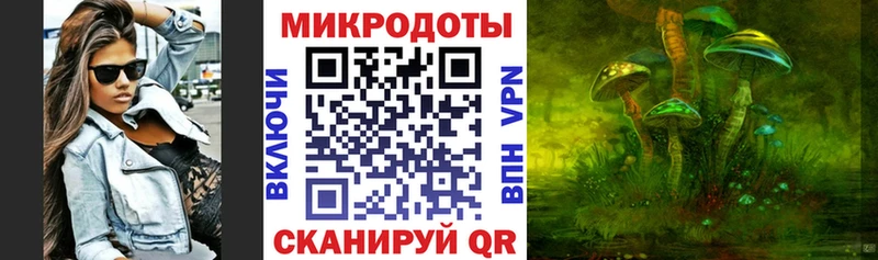 Купить где  Славск  Псилоцибиновые грибы GOLDEN TEACHER 
